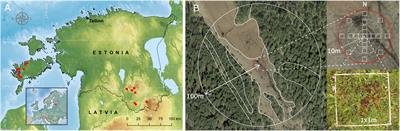 Modern Pollen–Plant Diversity Relationships Inform Palaeoecological Reconstructions of Functional and Phylogenetic Diversity in Calcareous Fens